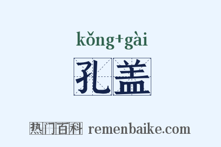 孔盖是什么意思的图片